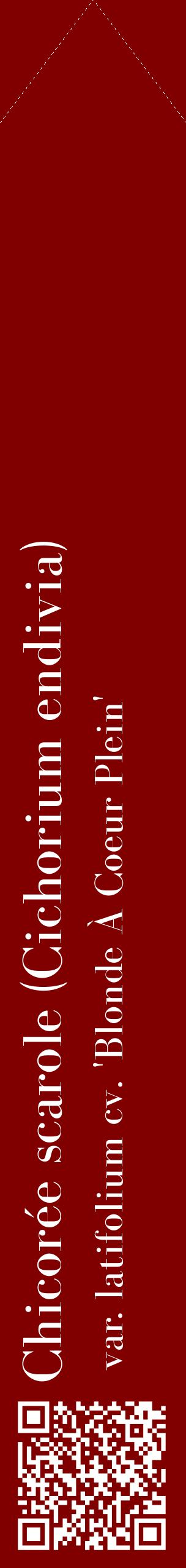 Étiquette de : Cichorium endivia var. latifolium cv. 'Blonde À Coeur Plein' - format c - style blanche29_simplebod avec qrcode et comestibilité