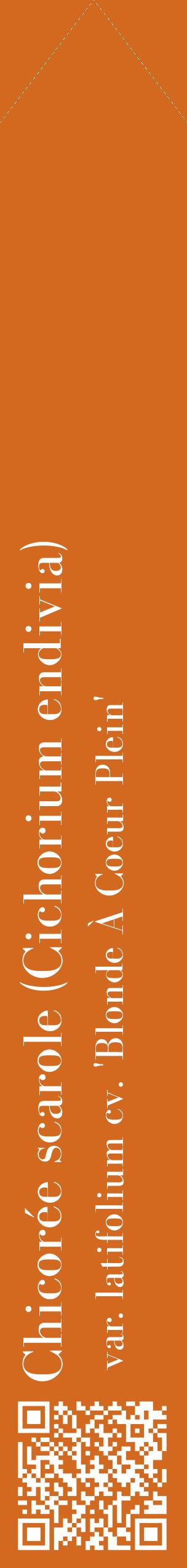 Étiquette de : Cichorium endivia var. latifolium cv. 'Blonde À Coeur Plein' - format c - style blanche31_simplebod avec qrcode et comestibilité