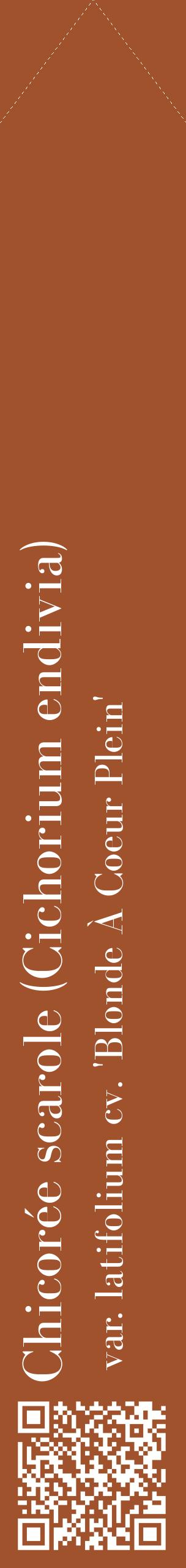 Étiquette de : Cichorium endivia var. latifolium cv. 'Blonde À Coeur Plein' - format c - style blanche32_simplebod avec qrcode et comestibilité