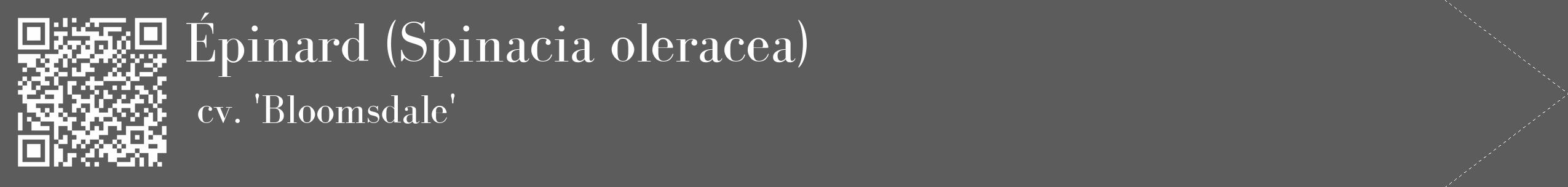 Étiquette de : Spinacia oleracea cv. 'Bloomsdale' - format c - style blanche49_simple_simplebod avec qrcode et comestibilité