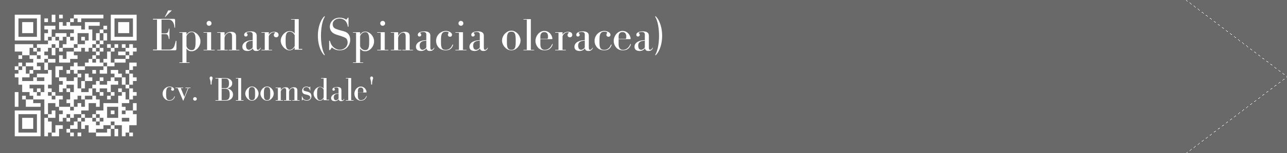 Étiquette de : Spinacia oleracea cv. 'Bloomsdale' - format c - style blanche51_simple_simplebod avec qrcode et comestibilité