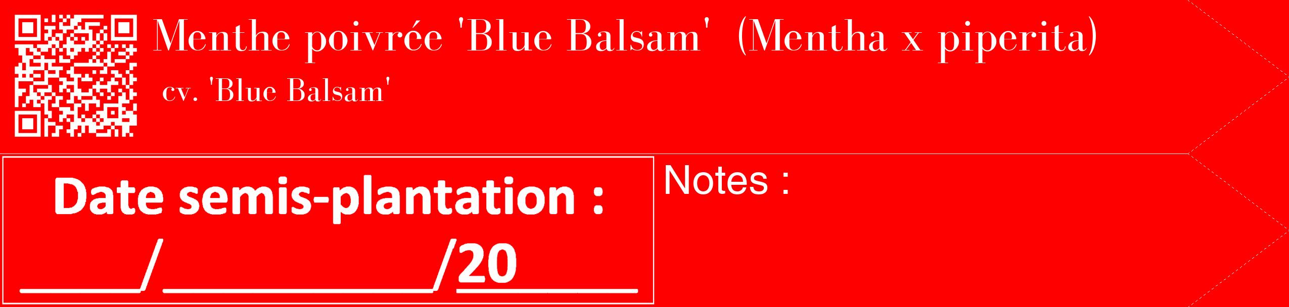 Étiquette de : Mentha x piperita cv. 'Blue Balsam' - format c - style blanche27_simple_simplebod avec qrcode et comestibilité