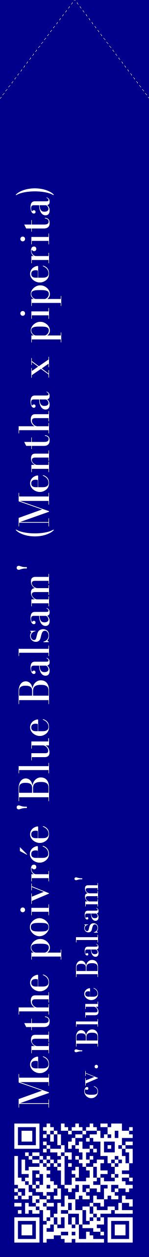 Étiquette de : Mentha x piperita cv. 'Blue Balsam' - format c - style blanche7_simplebod avec qrcode et comestibilité
