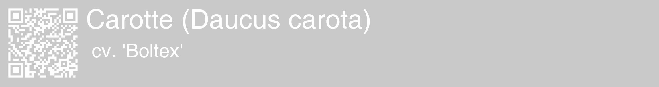 Étiquette de : Daucus carota cv. 'Boltex' - format c - style blanche54_basique_basiquehel avec qrcode et comestibilité