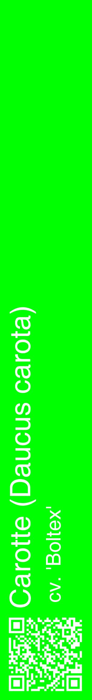 Étiquette de : Daucus carota cv. 'Boltex' - format c - style blanche16_basiquehel avec qrcode et comestibilité