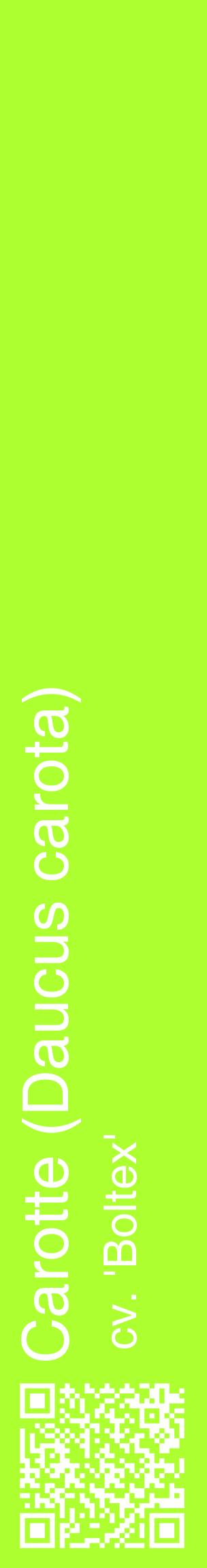 Étiquette de : Daucus carota cv. 'Boltex' - format c - style blanche17_basiquehel avec qrcode et comestibilité