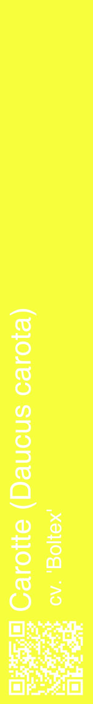 Étiquette de : Daucus carota cv. 'Boltex' - format c - style blanche18_basiquehel avec qrcode et comestibilité