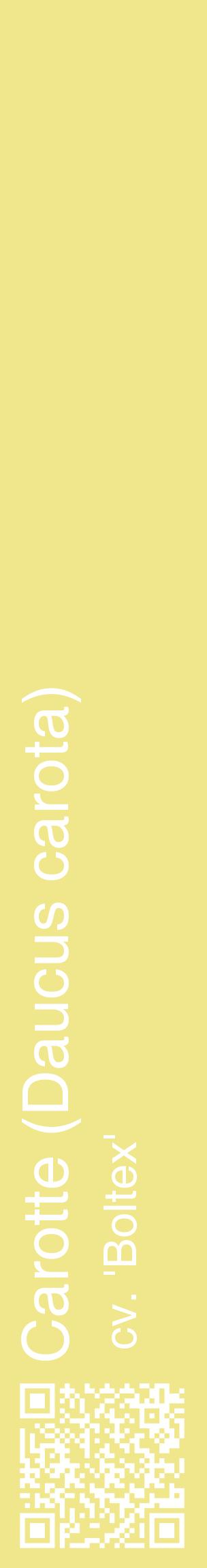 Étiquette de : Daucus carota cv. 'Boltex' - format c - style blanche20_basiquehel avec qrcode et comestibilité