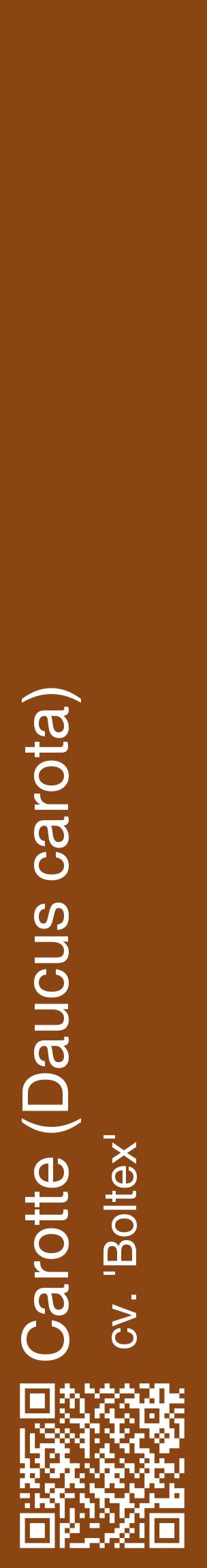 Étiquette de : Daucus carota cv. 'Boltex' - format c - style blanche30_basiquehel avec qrcode et comestibilité