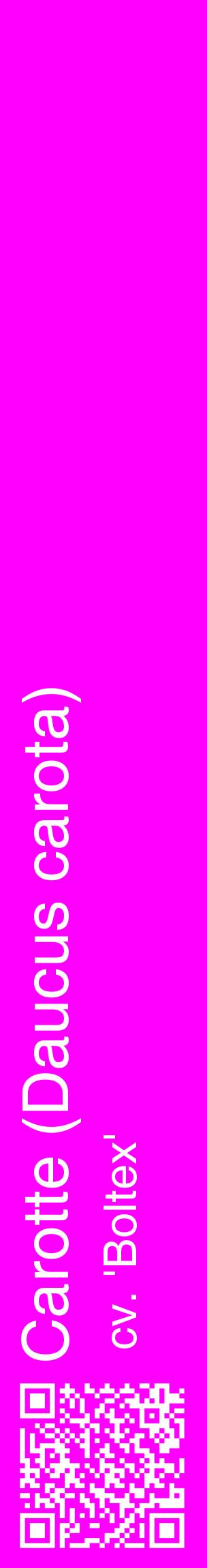 Étiquette de : Daucus carota cv. 'Boltex' - format c - style blanche51_basiquehel avec qrcode et comestibilité