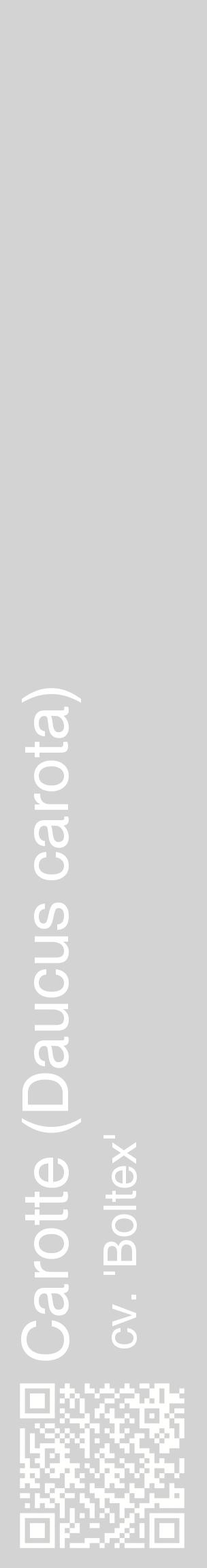Étiquette de : Daucus carota cv. 'Boltex' - format c - style blanche56_basiquehel avec qrcode et comestibilité