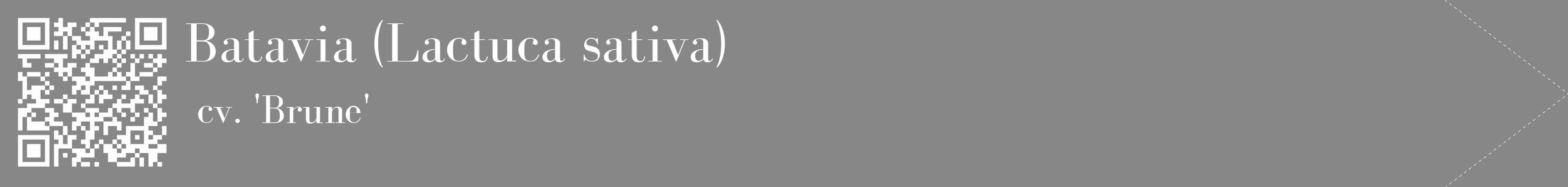 Étiquette de : Lactuca sativa cv. 'Brune' - format c - style blanche12_simple_simplebod avec qrcode et comestibilité
