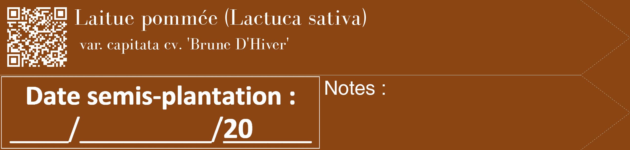 Étiquette de : Lactuca sativa var. capitata cv. 'Brune D'Hiver' - format c - style blanche30_simple_simplebod avec qrcode et comestibilité