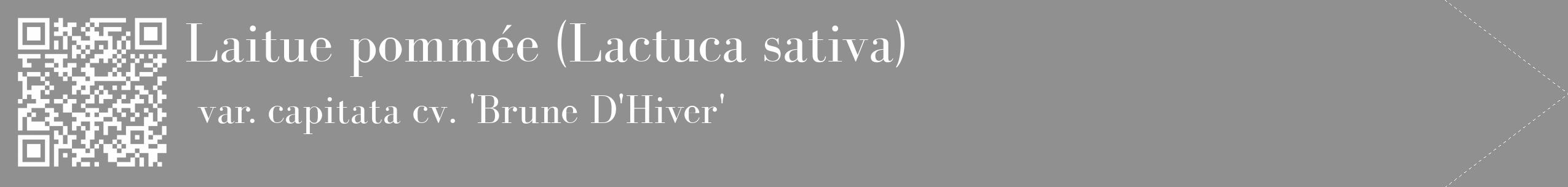 Étiquette de : Lactuca sativa var. capitata cv. 'Brune D'Hiver' - format c - style blanche4_simple_simplebod avec qrcode et comestibilité