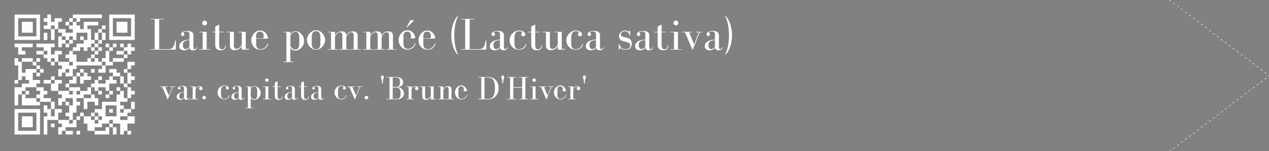 Étiquette de : Lactuca sativa var. capitata cv. 'Brune D'Hiver' - format c - style blanche50_simple_simplebod avec qrcode et comestibilité