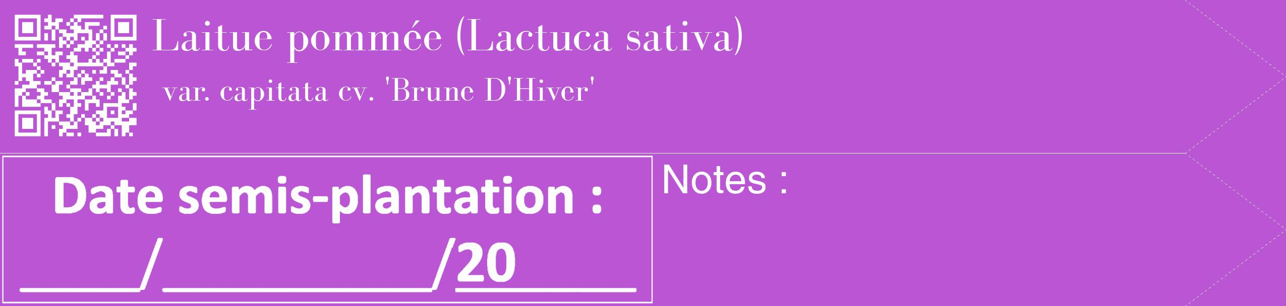 Étiquette de : Lactuca sativa var. capitata cv. 'Brune D'Hiver' - format c - style blanche50_simple_simplebod avec qrcode et comestibilité