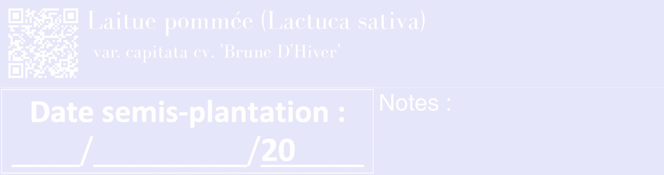 Étiquette de : Lactuca sativa var. capitata cv. 'Brune D'Hiver' - format c - style blanche55_basique_basiquebod avec qrcode et comestibilité