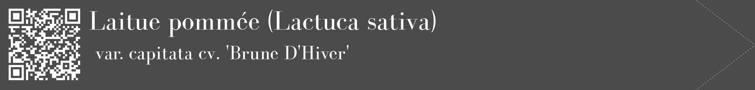 Étiquette de : Lactuca sativa var. capitata cv. 'Brune D'Hiver' - format c - style blanche9_simple_simplebod avec qrcode et comestibilité