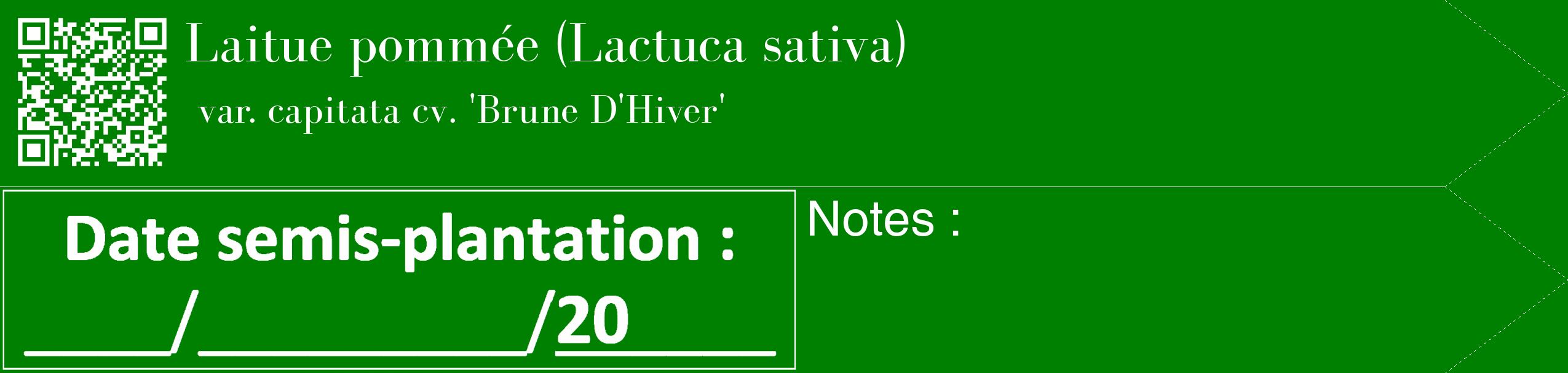 Étiquette de : Lactuca sativa var. capitata cv. 'Brune D'Hiver' - format c - style blanche9_simple_simplebod avec qrcode et comestibilité