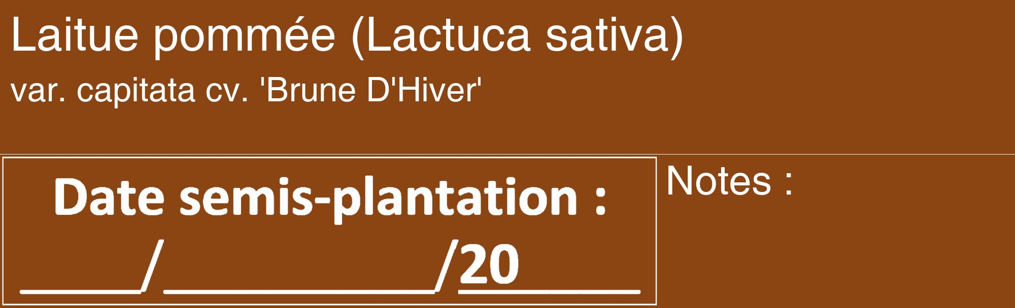 Étiquette de : Lactuca sativa var. capitata cv. 'Brune D'Hiver' - format c - style blanche30_basique_basiquehel avec comestibilité