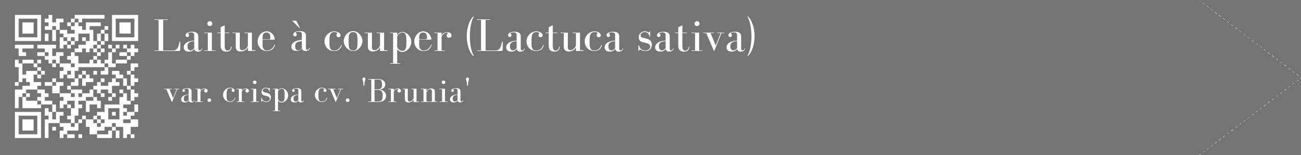 Étiquette de : Lactuca sativa var. crispa cv. 'Brunia' - format c - style blanche26_simple_simplebod avec qrcode et comestibilité