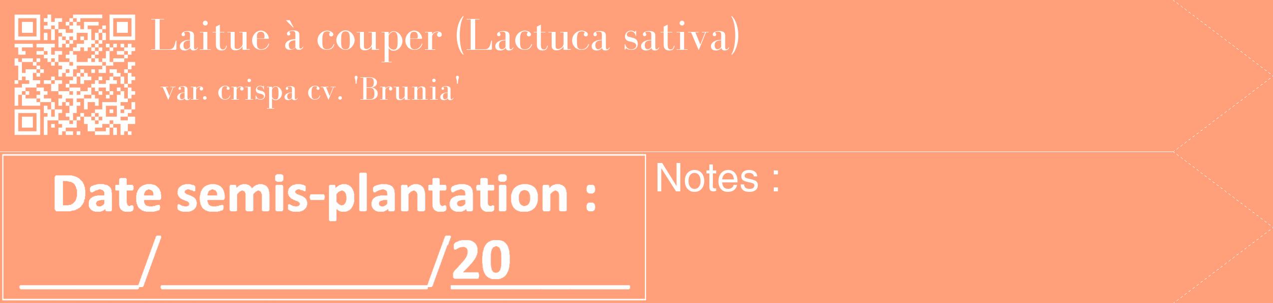 Étiquette de : Lactuca sativa var. crispa cv. 'Brunia' - format c - style blanche39_simple_simplebod avec qrcode et comestibilité