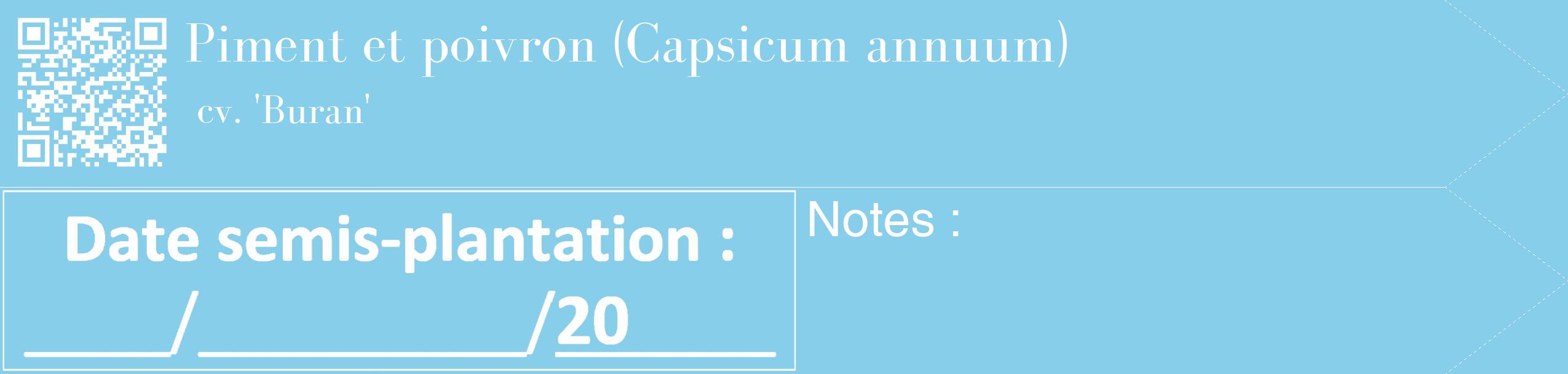 Étiquette de : Capsicum annuum cv. 'Buran' - format c - style blanche1_simple_simplebod avec qrcode et comestibilité