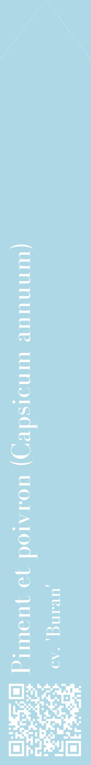 Étiquette de : Capsicum annuum cv. 'Buran' - format c - style blanche0_simplebod avec qrcode et comestibilité