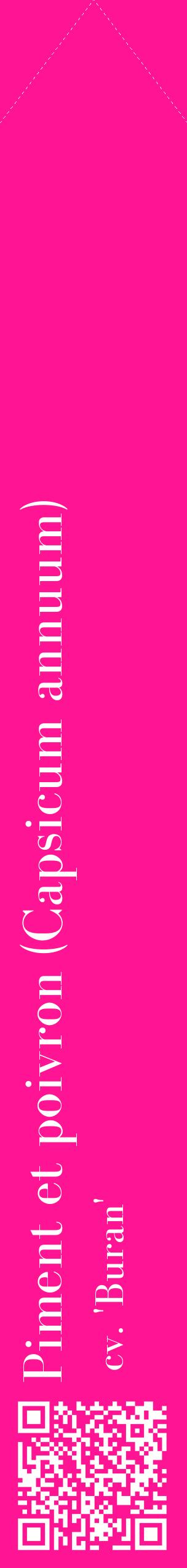 Étiquette de : Capsicum annuum cv. 'Buran' - format c - style blanche43_simplebod avec qrcode et comestibilité