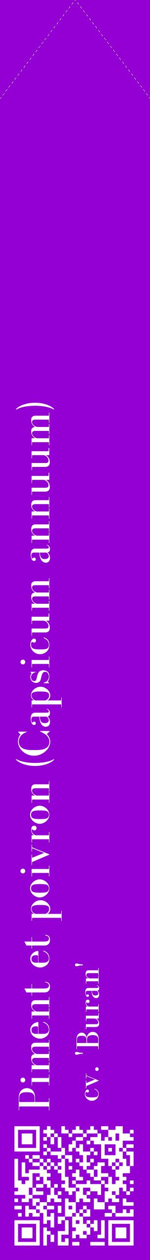 Étiquette de : Capsicum annuum cv. 'Buran' - format c - style blanche48_simplebod avec qrcode et comestibilité
