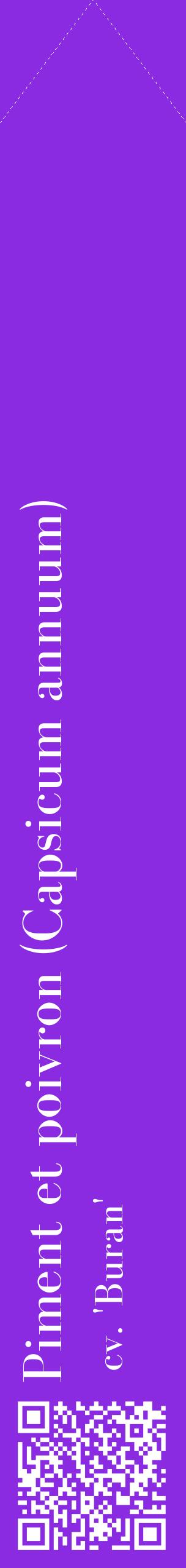 Étiquette de : Capsicum annuum cv. 'Buran' - format c - style blanche49_simplebod avec qrcode et comestibilité