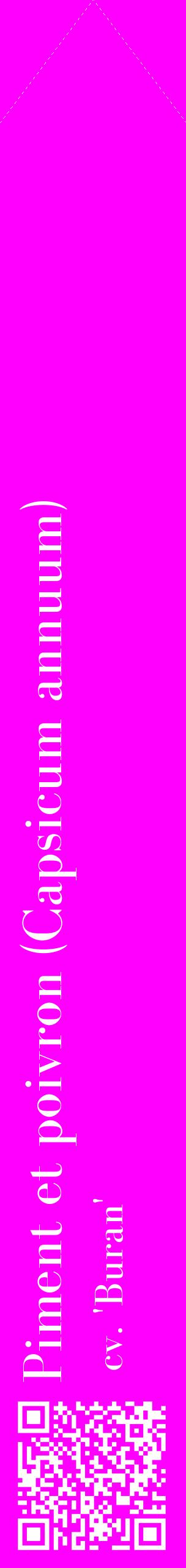 Étiquette de : Capsicum annuum cv. 'Buran' - format c - style blanche51_simplebod avec qrcode et comestibilité