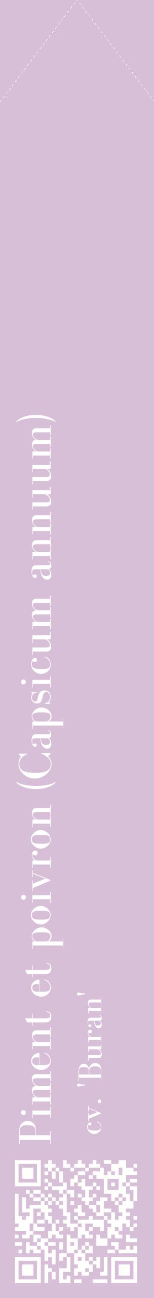 Étiquette de : Capsicum annuum cv. 'Buran' - format c - style blanche54_simplebod avec qrcode et comestibilité