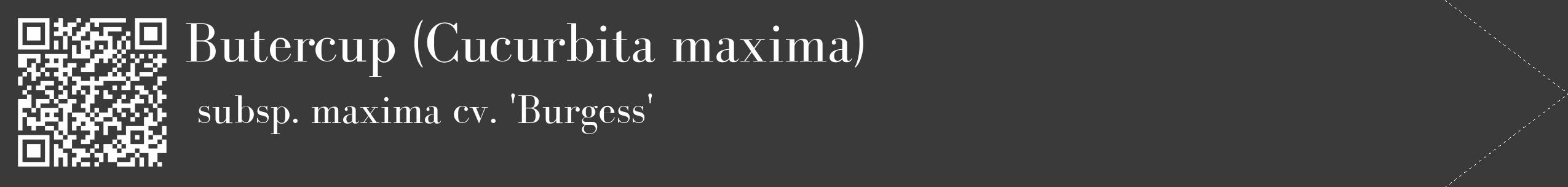 Étiquette de : Cucurbita maxima subsp. maxima cv. 'Burgess' - format c - style blanche8_simple_simplebod avec qrcode et comestibilité