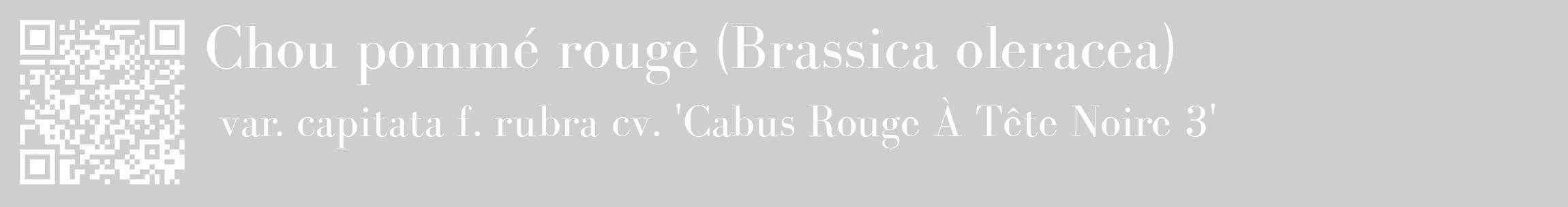 Étiquette de : Brassica oleracea var. capitata f. rubra cv. 'Cabus Rouge À Tête Noire 3' - format c - style blanche17_basique_basiquebod avec qrcode et comestibilité