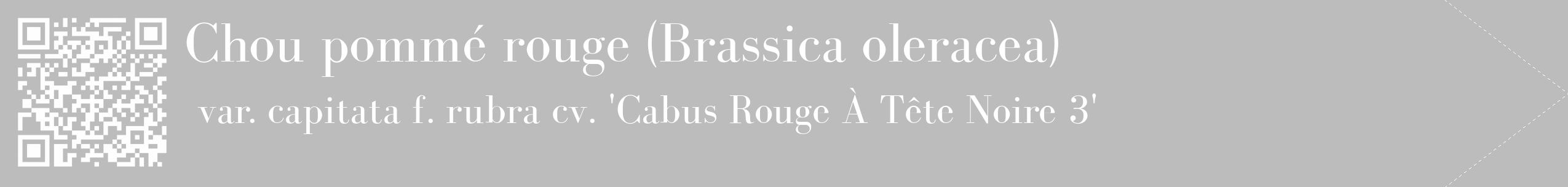 Étiquette de : Brassica oleracea var. capitata f. rubra cv. 'Cabus Rouge À Tête Noire 3' - format c - style blanche1_simple_simplebod avec qrcode et comestibilité