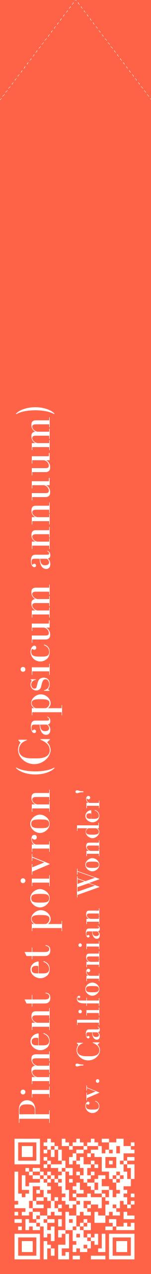 Étiquette de : Capsicum annuum cv. 'Californian Wonder' - format c - style blanche25_simplebod avec qrcode et comestibilité