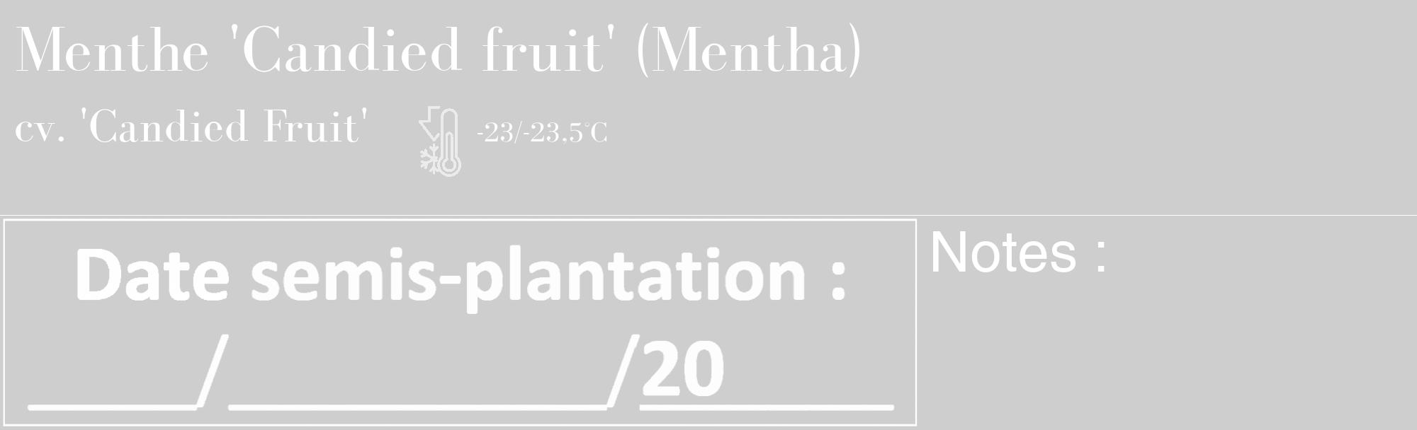 Étiquette de : Mentha cv. 'Candied Fruit' - format c - style blanche17_basique_basiquebod avec comestibilité