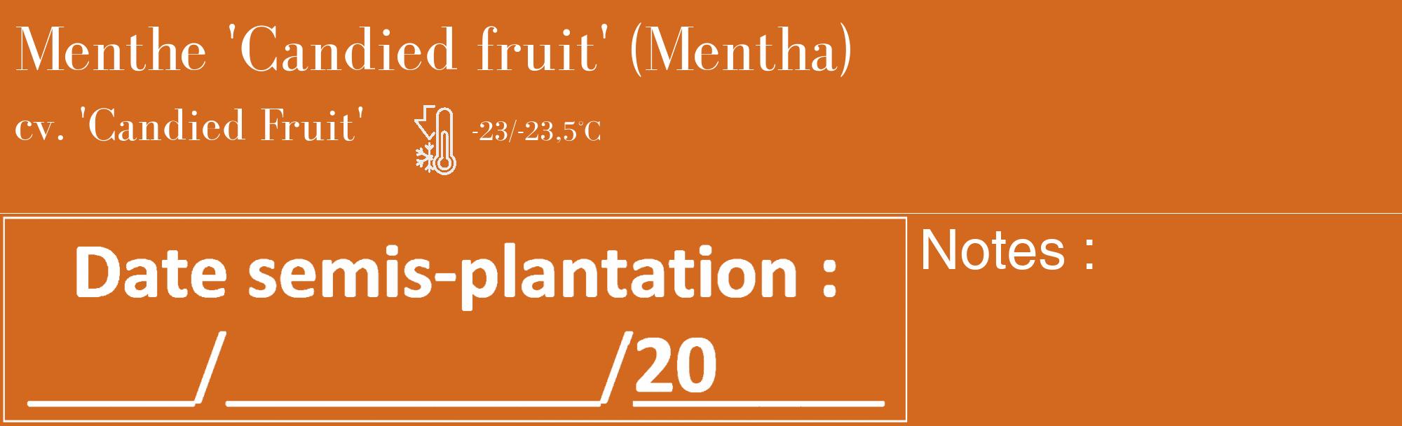 Étiquette de : Mentha cv. 'Candied Fruit' - format c - style blanche31_basique_basiquebod avec comestibilité