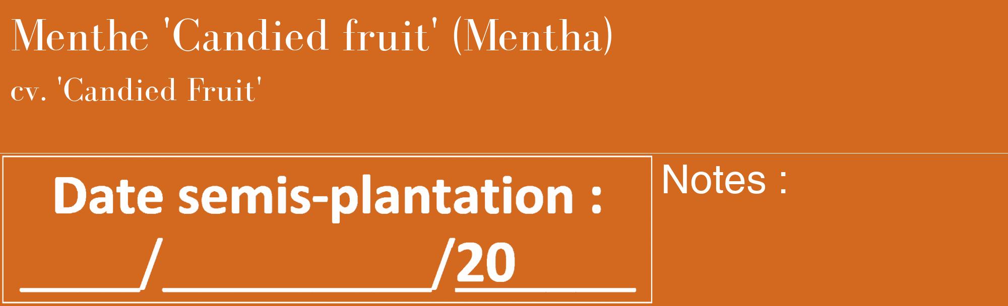 Étiquette de : Mentha cv. 'Candied Fruit' - format c - style blanche31_basique_basiquebod avec comestibilité