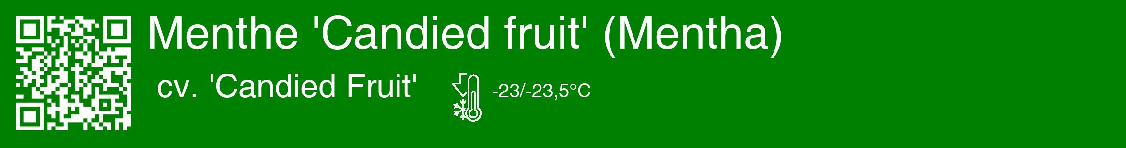 Étiquette de : Mentha cv. 'Candied Fruit' - format c - style blanche9basique_basique_basiquehel avec qrcode et comestibilité
