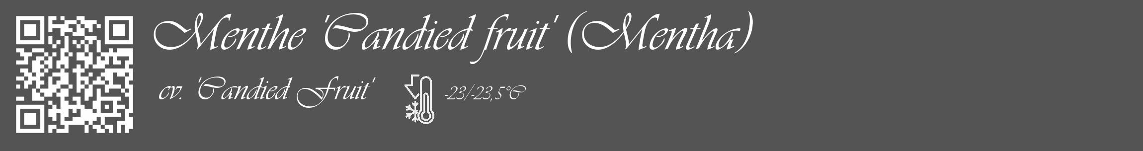 Étiquette de : Mentha cv. 'Candied Fruit' - format c - style blanche36_basique_basiqueviv avec qrcode et comestibilité