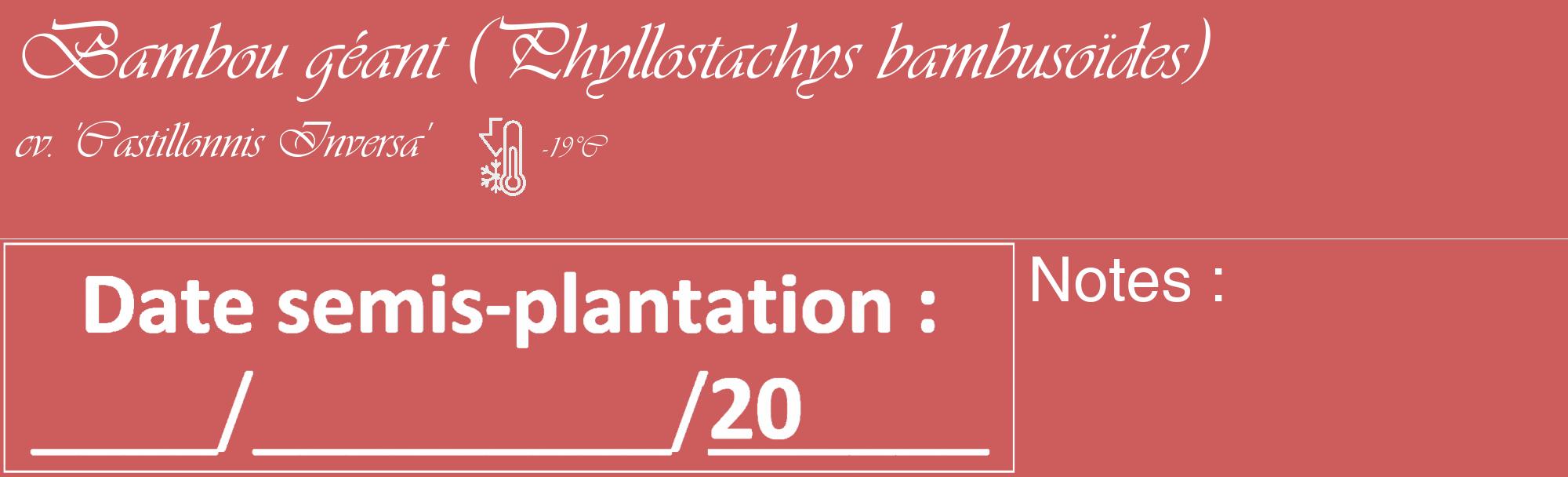 Étiquette de : Phyllostachys bambusoïdes cv. 'Castillonnis Inversa' - format c - style blanche35_basique_basiqueviv avec comestibilité