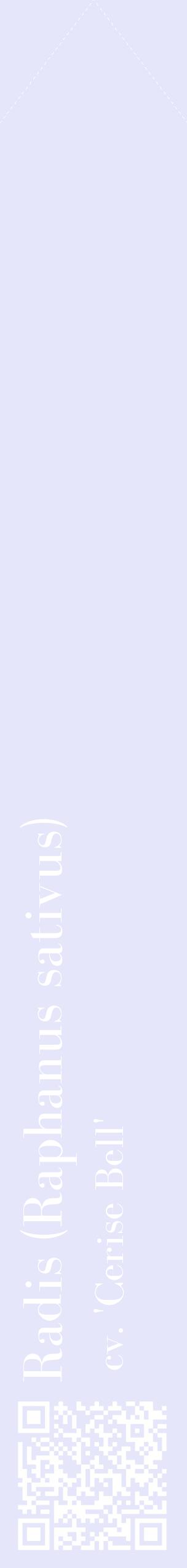 Étiquette de : Raphanus sativus cv. 'Cerise Bell' - format c - style blanche55_simplebod avec qrcode et comestibilité