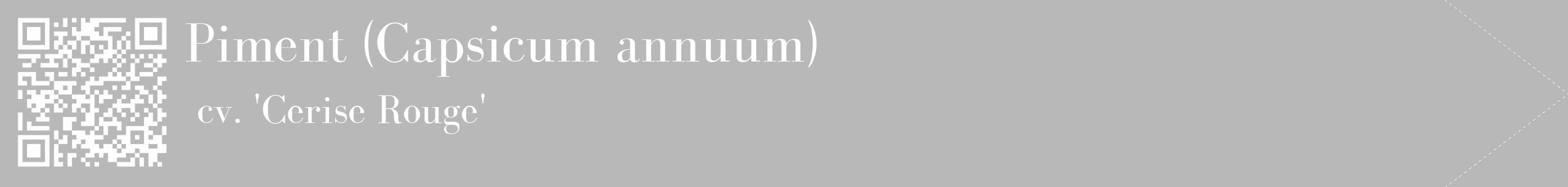 Étiquette de : Capsicum annuum cv. 'Cerise Rouge' - format c - style blanche39_simple_simplebod avec qrcode et comestibilité