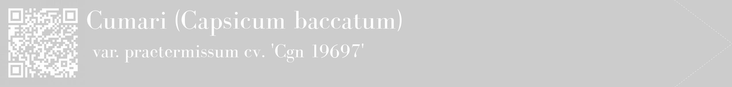Étiquette de : Capsicum baccatum var. praetermissum cv. 'Cgn 19697' - format c - style blanche0_simple_simplebod avec qrcode et comestibilité