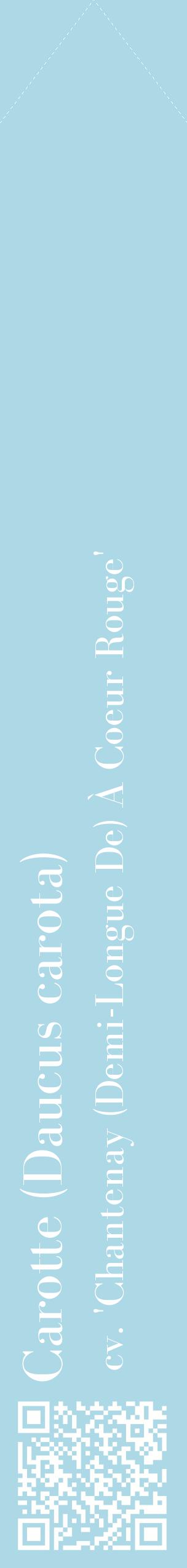 Étiquette de : Daucus carota cv. 'Chantenay (Demi-Longue De) À Coeur Rouge' - format c - style blanche0_simplebod avec qrcode et comestibilité