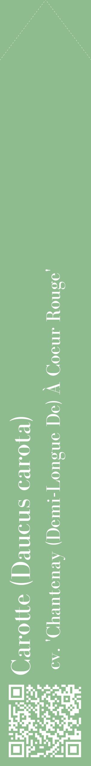 Étiquette de : Daucus carota cv. 'Chantenay (Demi-Longue De) À Coeur Rouge' - format c - style blanche13_simplebod avec qrcode et comestibilité