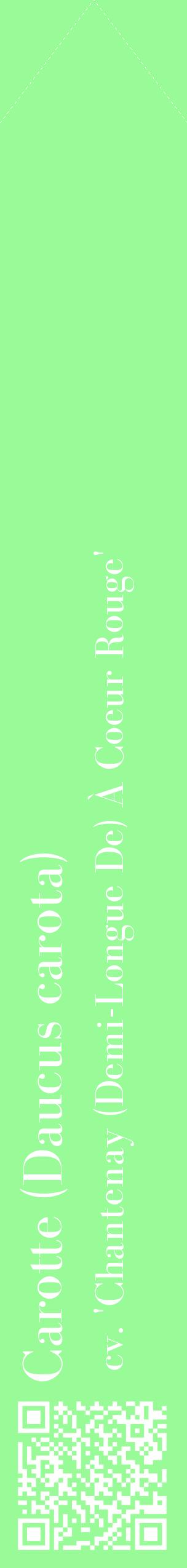 Étiquette de : Daucus carota cv. 'Chantenay (Demi-Longue De) À Coeur Rouge' - format c - style blanche14_simplebod avec qrcode et comestibilité