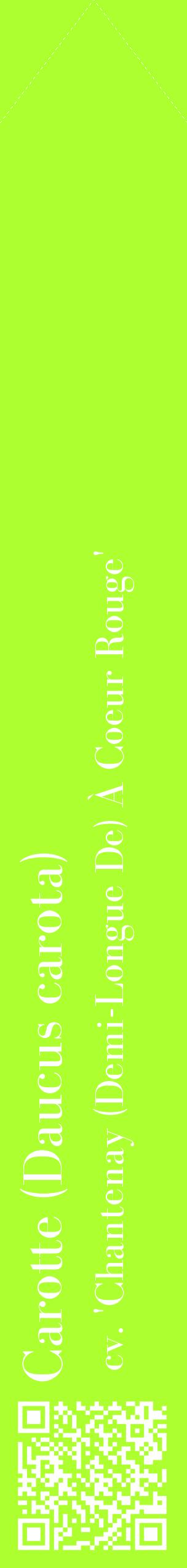 Étiquette de : Daucus carota cv. 'Chantenay (Demi-Longue De) À Coeur Rouge' - format c - style blanche17_simplebod avec qrcode et comestibilité